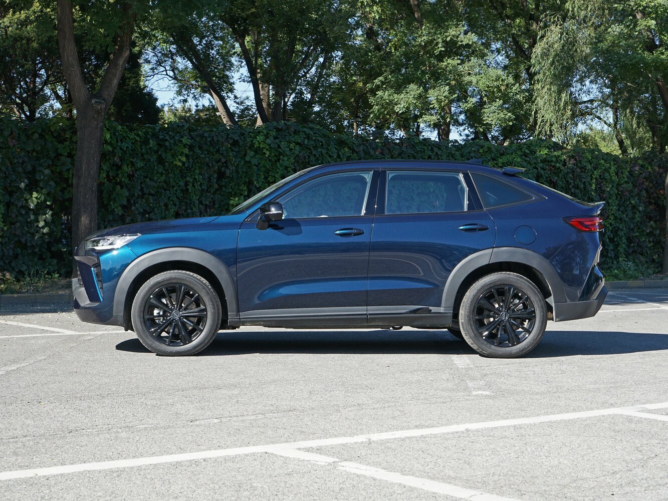 Haval H6S, 2024, фото 2