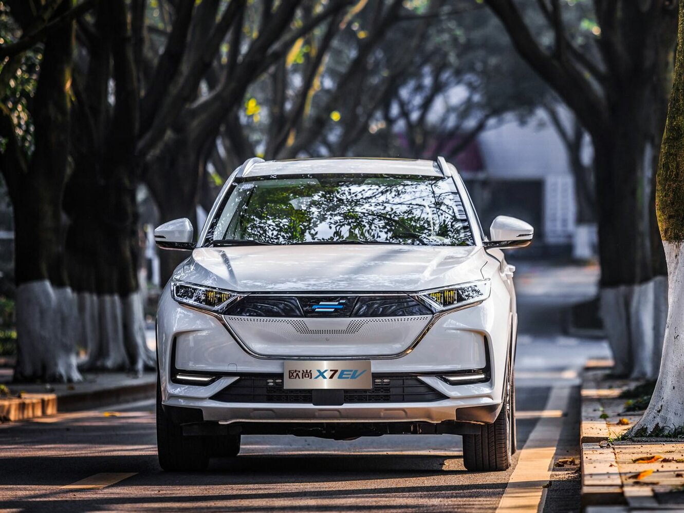 Oshan X7, 2021, фото 5
