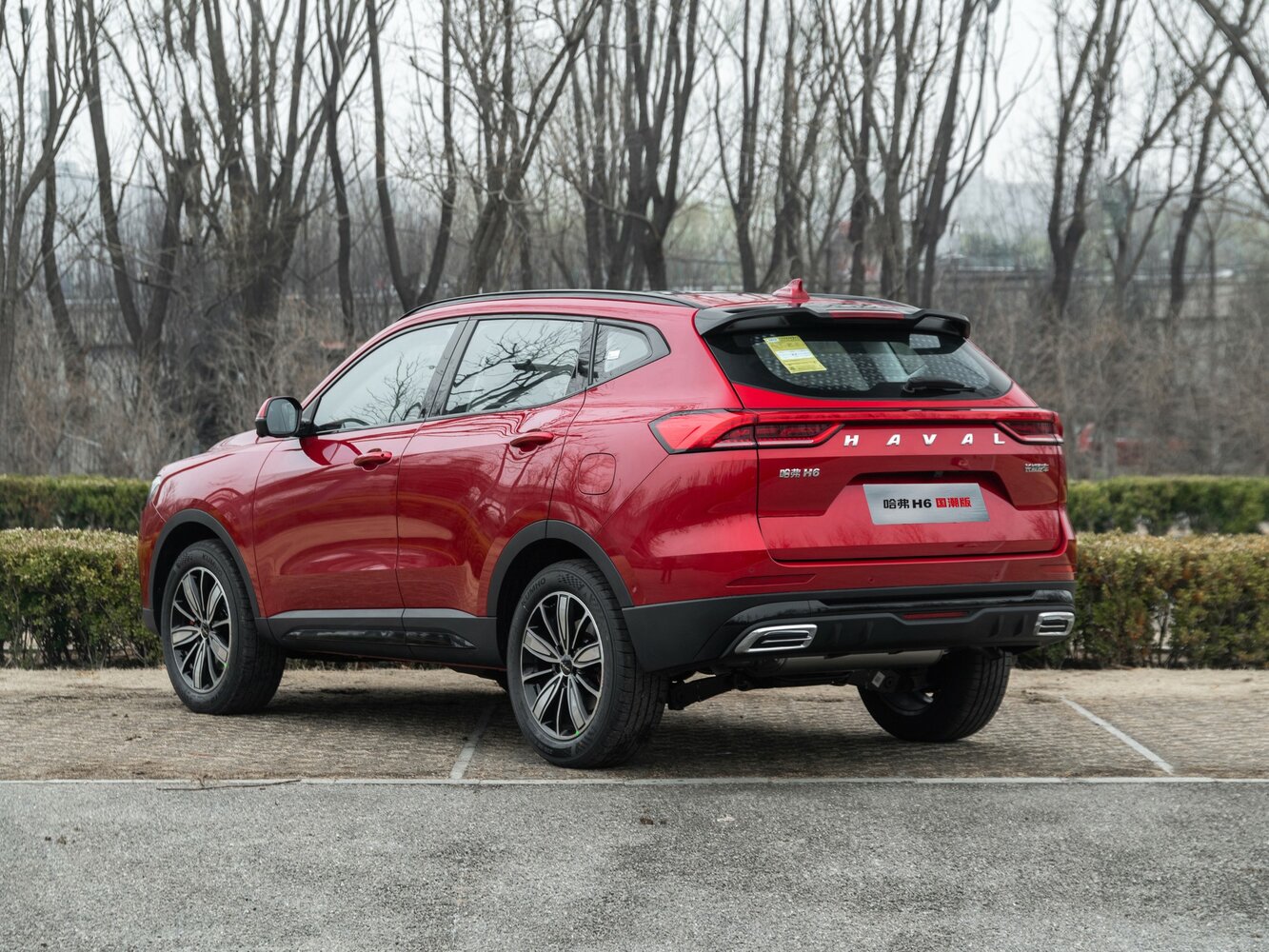 Haval H6 II Рестайлинг, 2023, фото 17