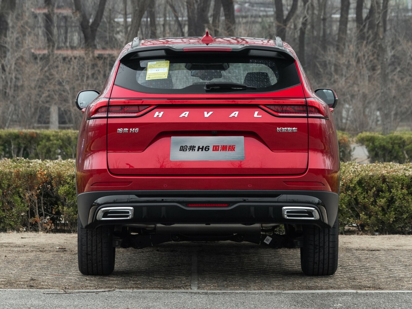 Haval H6 II Рестайлинг, 2023, фото 3