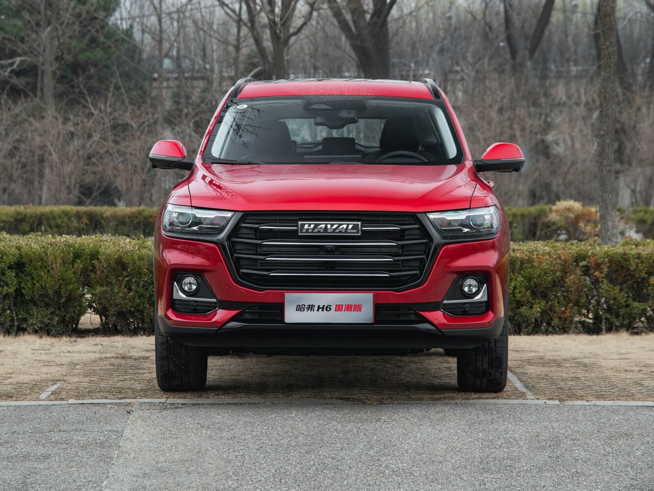 Haval H6 II Рестайлинг, 2023, фото 2