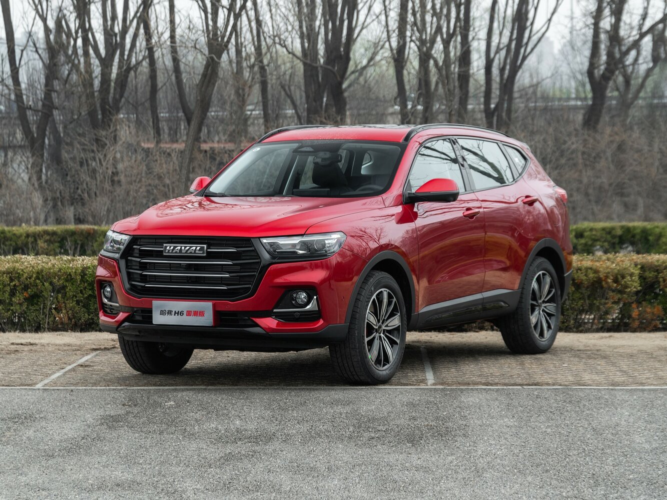 Haval H6 II Рестайлинг, 2023, фото 10