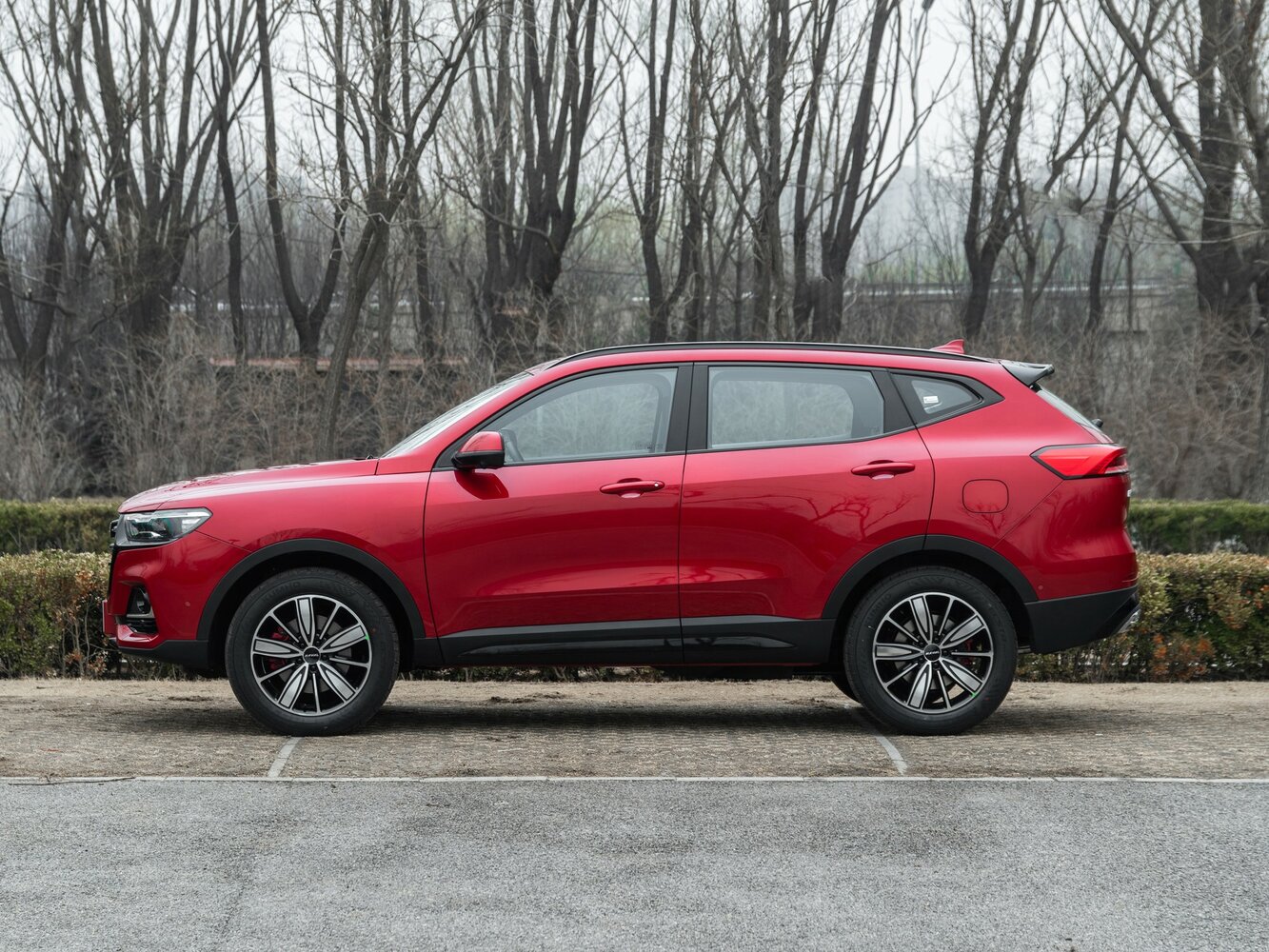 Haval H6 II Рестайлинг, 2023, фото 16