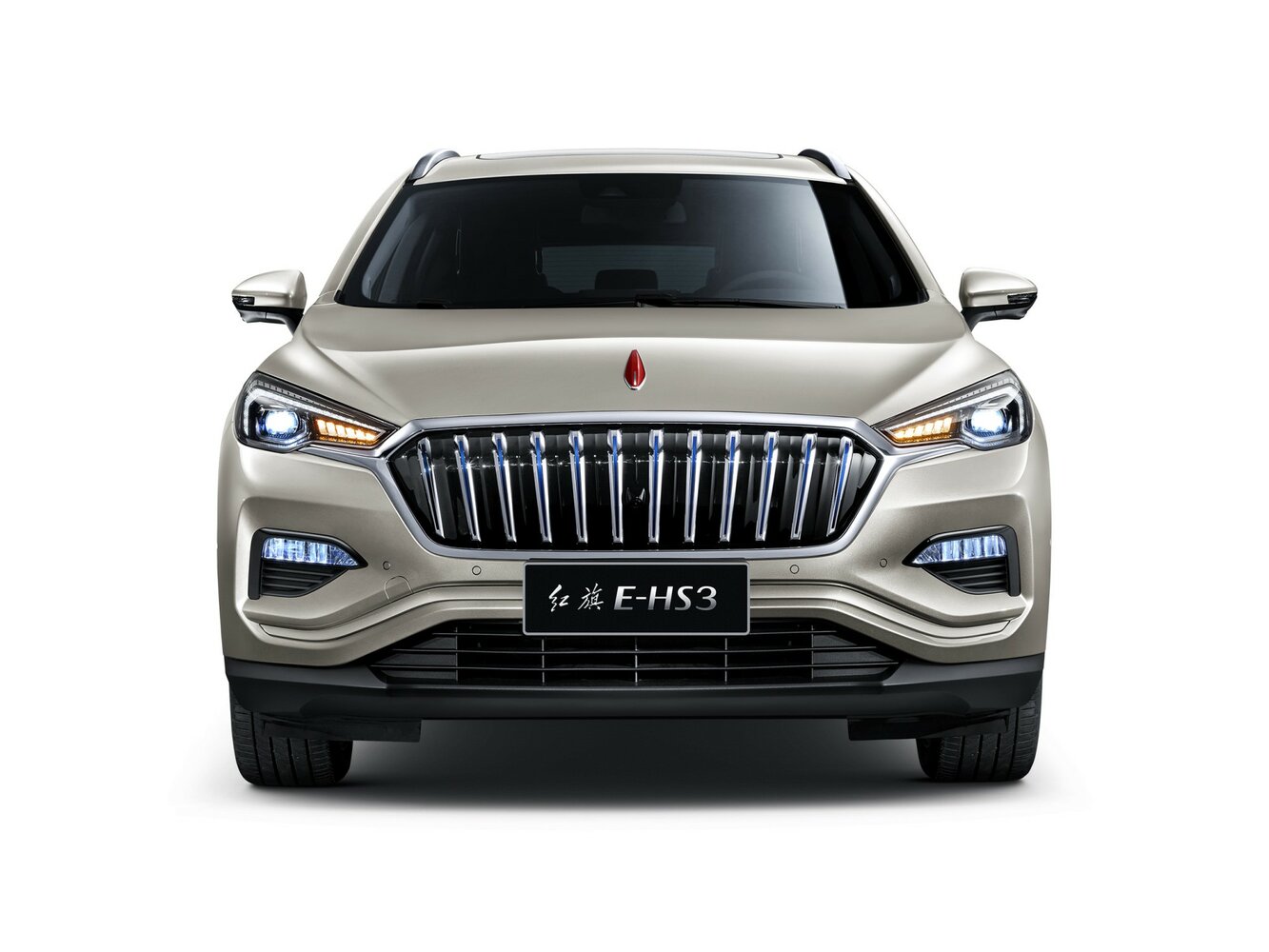 Hongqi E-HS3, 2021, фото 10