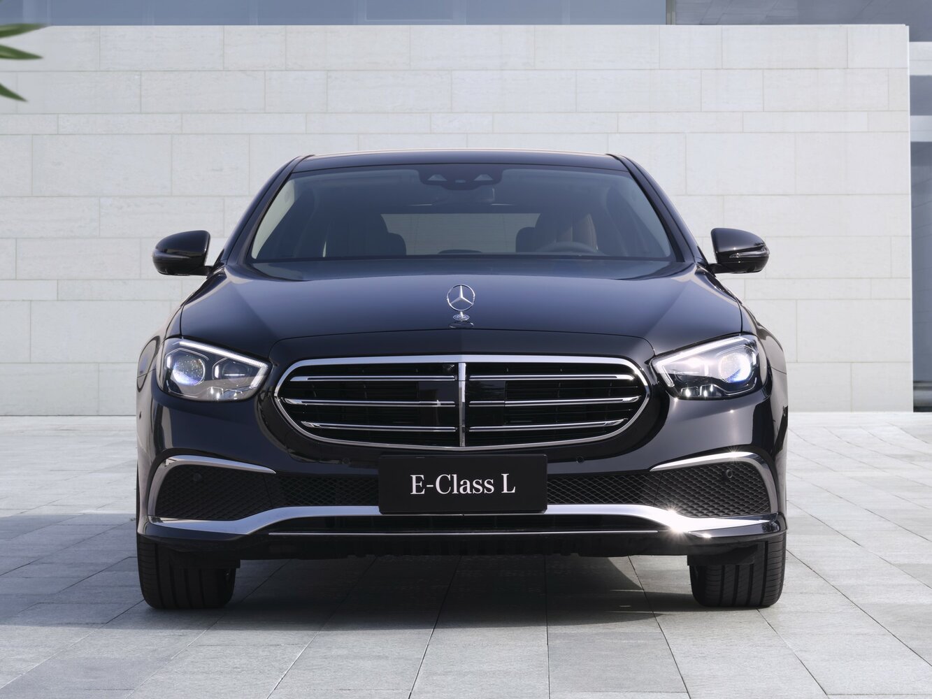 Mercedes-Benz E-Класс V (W213, S213, C238) Рестайлинг, 2021, фото 2