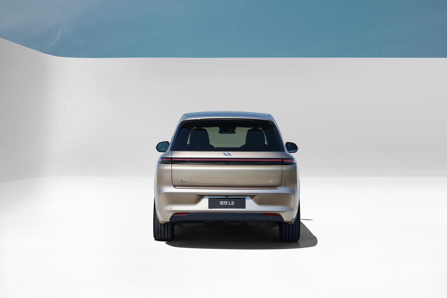 Li Auto (Lixiang) L8 I, 2022, фото 2