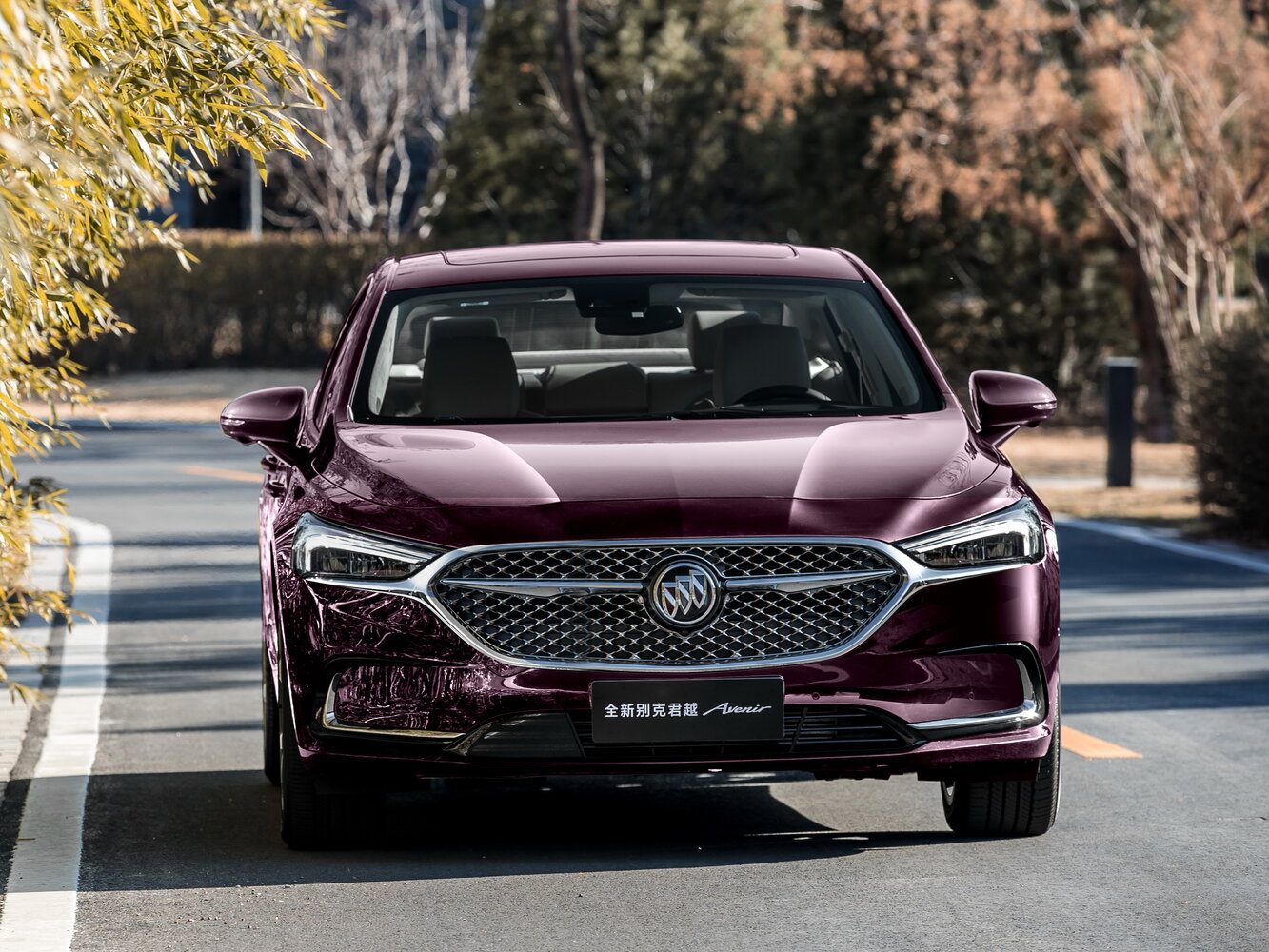 Buick LaCrosse III Рестайлинг, 2023, фото 3