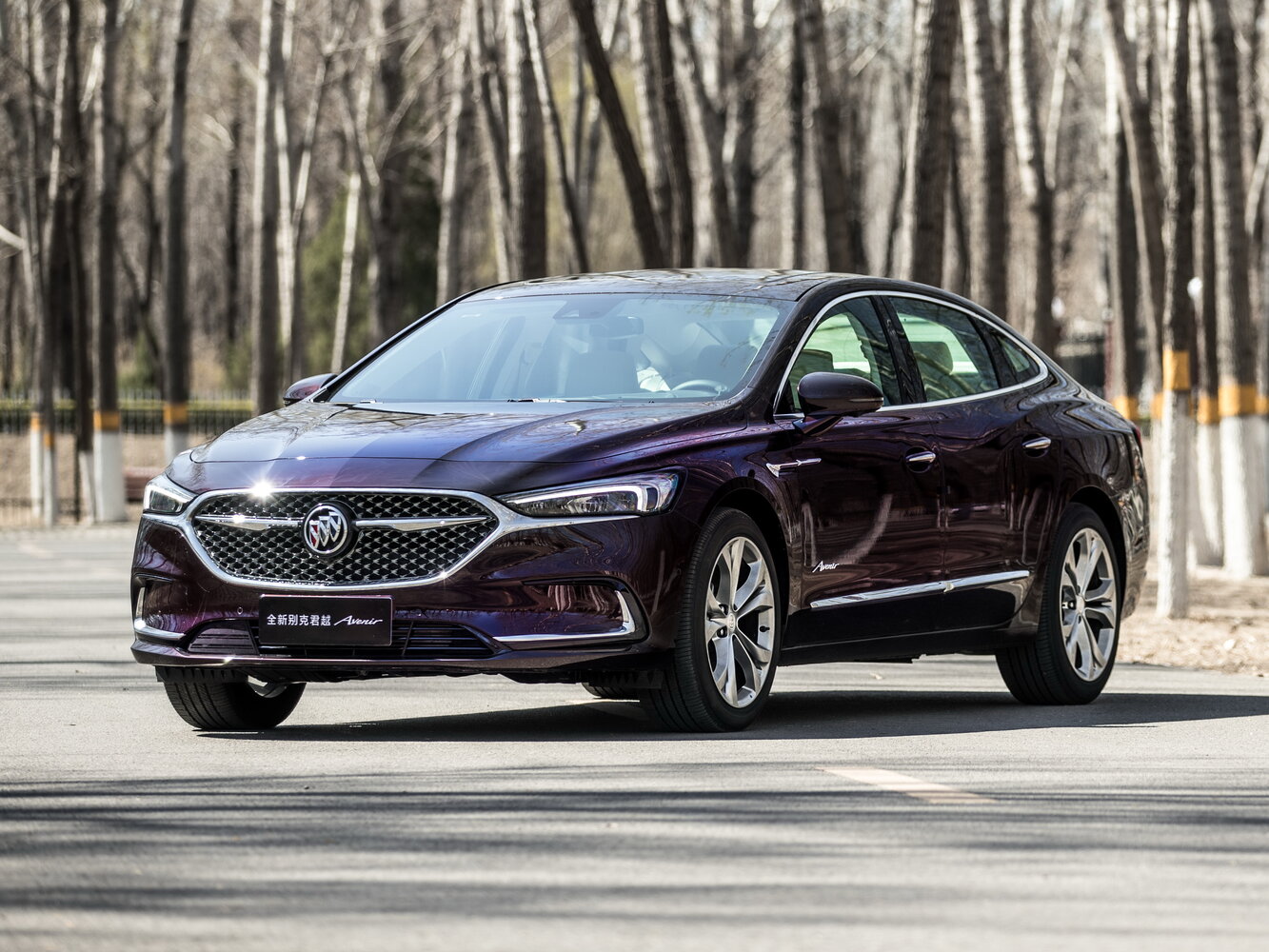 Buick LaCrosse III Рестайлинг, 2023, фото 2