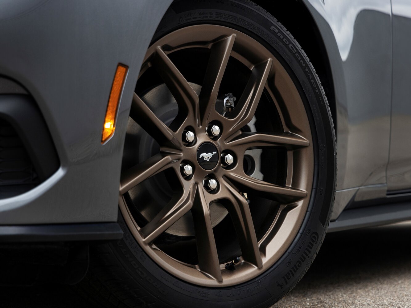 Ford Mustang VII, 2024, фото 2