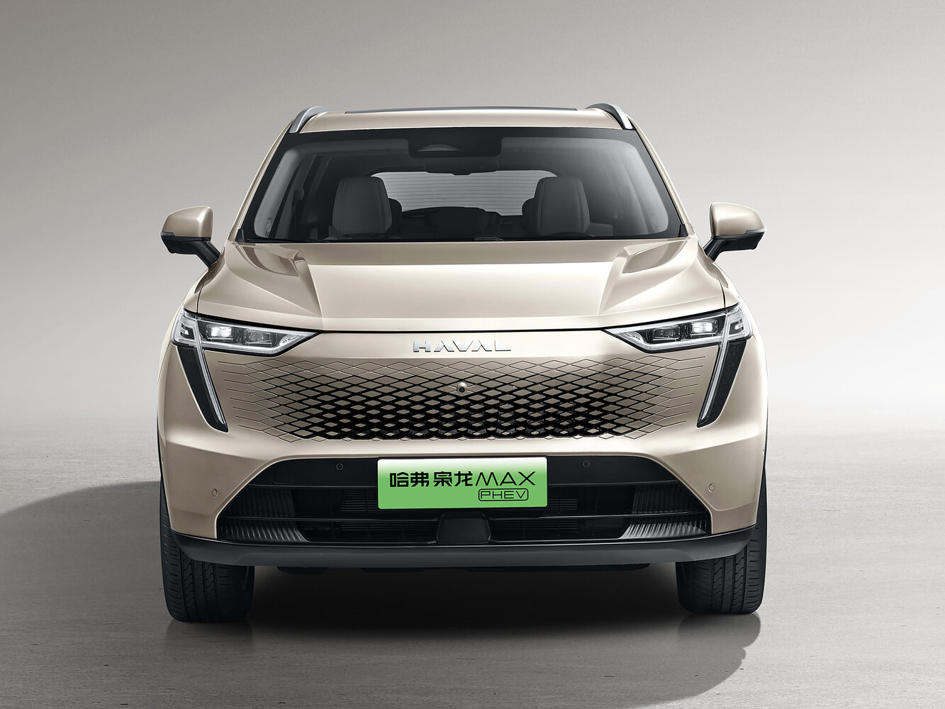 Haval Xiaolong Max I, 2023, фото 18
