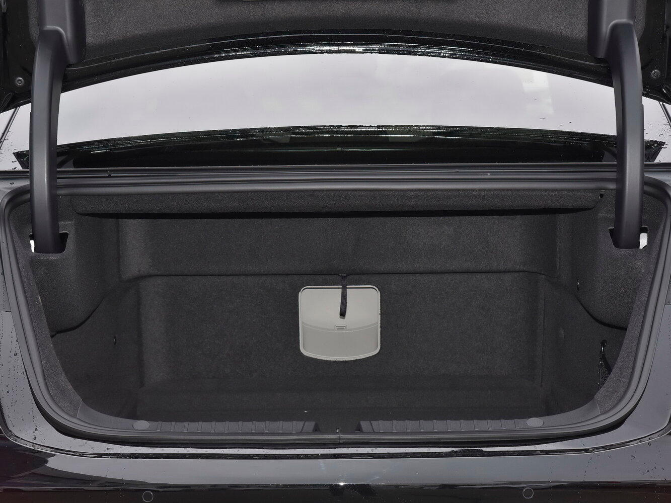 BYD E9, 2021, фото 14