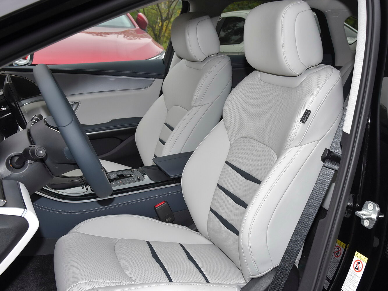 BYD E9, 2021, фото 12