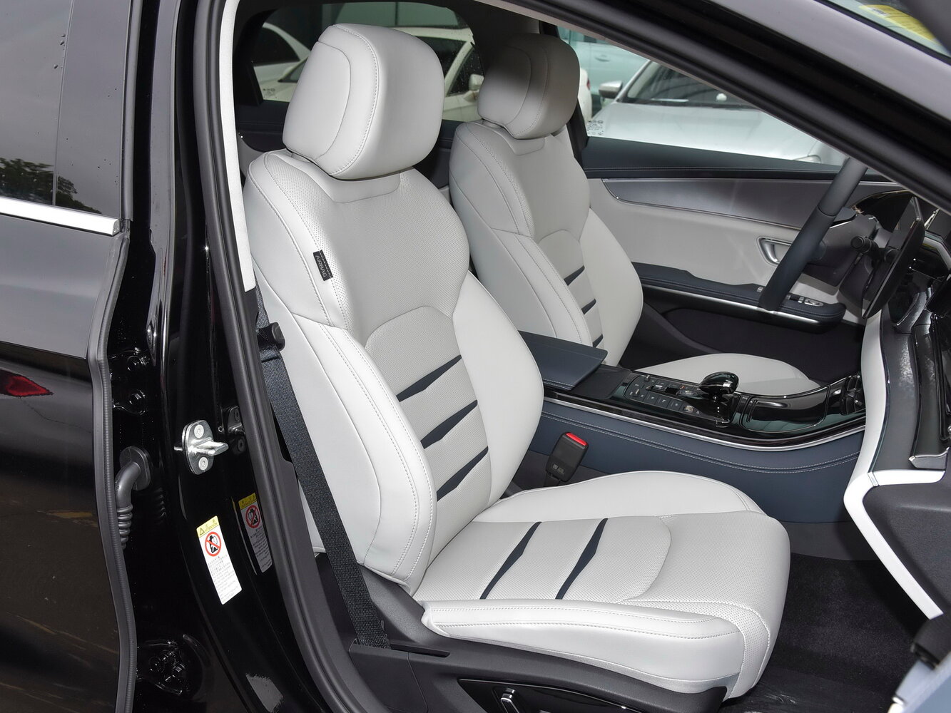 BYD E9, 2021, фото 5
