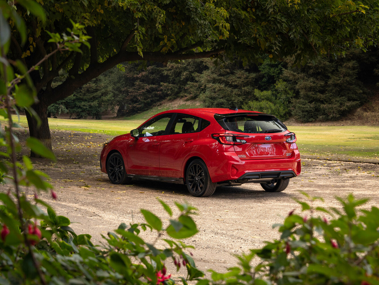 Subaru Impreza VI, 2023, фото 20