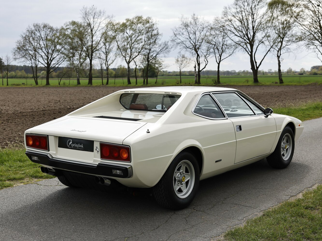 Ferrari Dino 208/308 GT4, 1977, фото 5