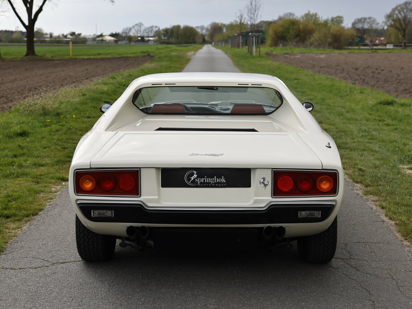 Ferrari Dino 208/308 GT4, 1977, фото 10