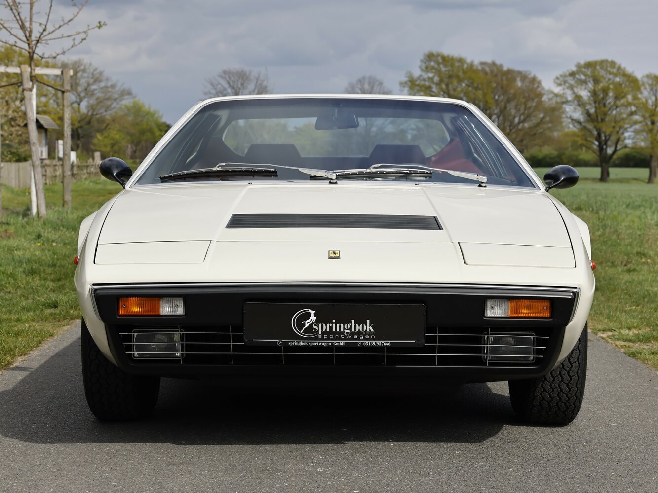 Ferrari Dino 208/308 GT4, 1977, фото 12