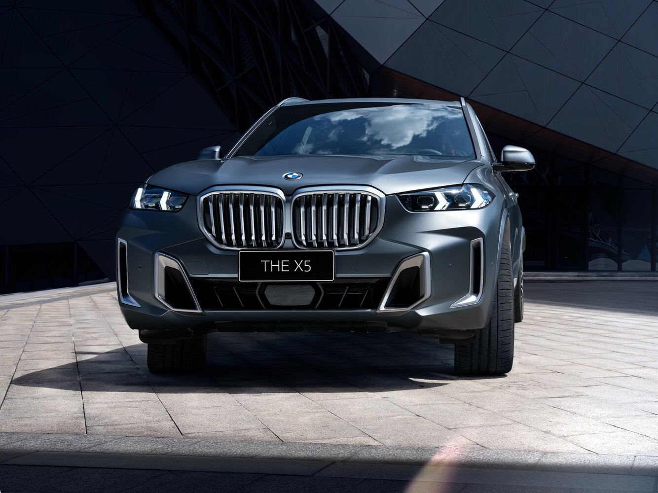 BMW X5 IV (G05/G18) Рестайлинг, 2024, фото 2