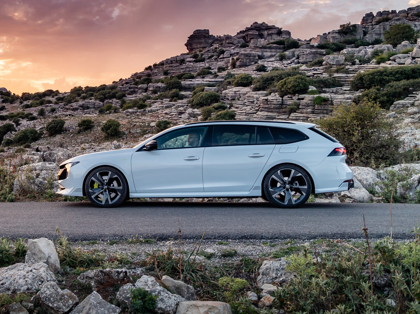 Peugeot 508 II Рестайлинг, 2024, фото 10
