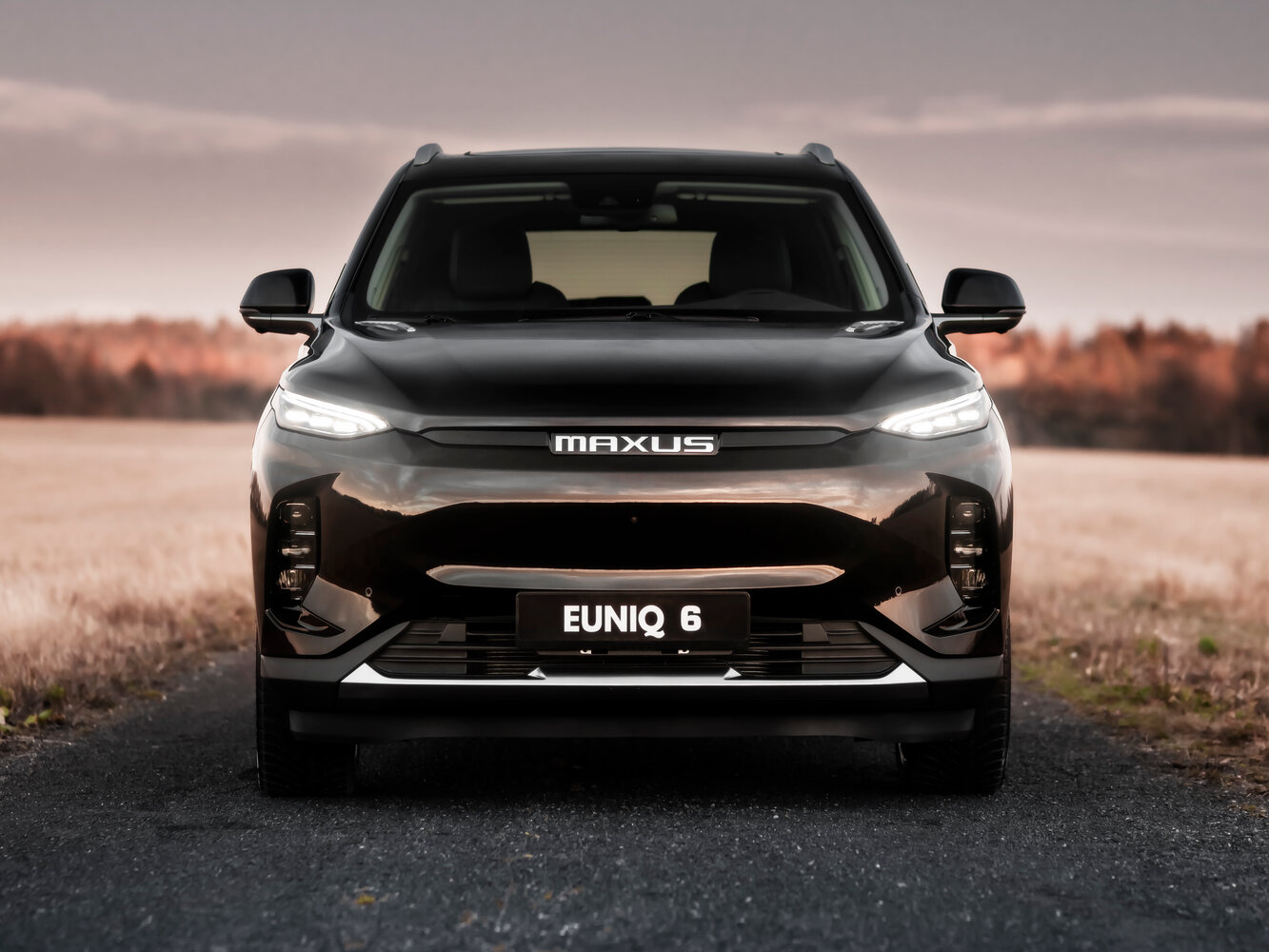 Maxus EUNIQ 6, 2021, фото 10