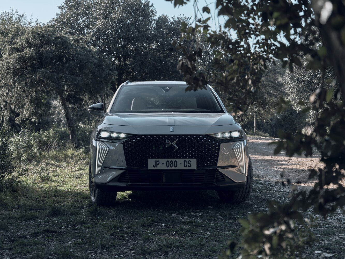 DS 7 Crossback I Рестайлинг, 2025, фото 6