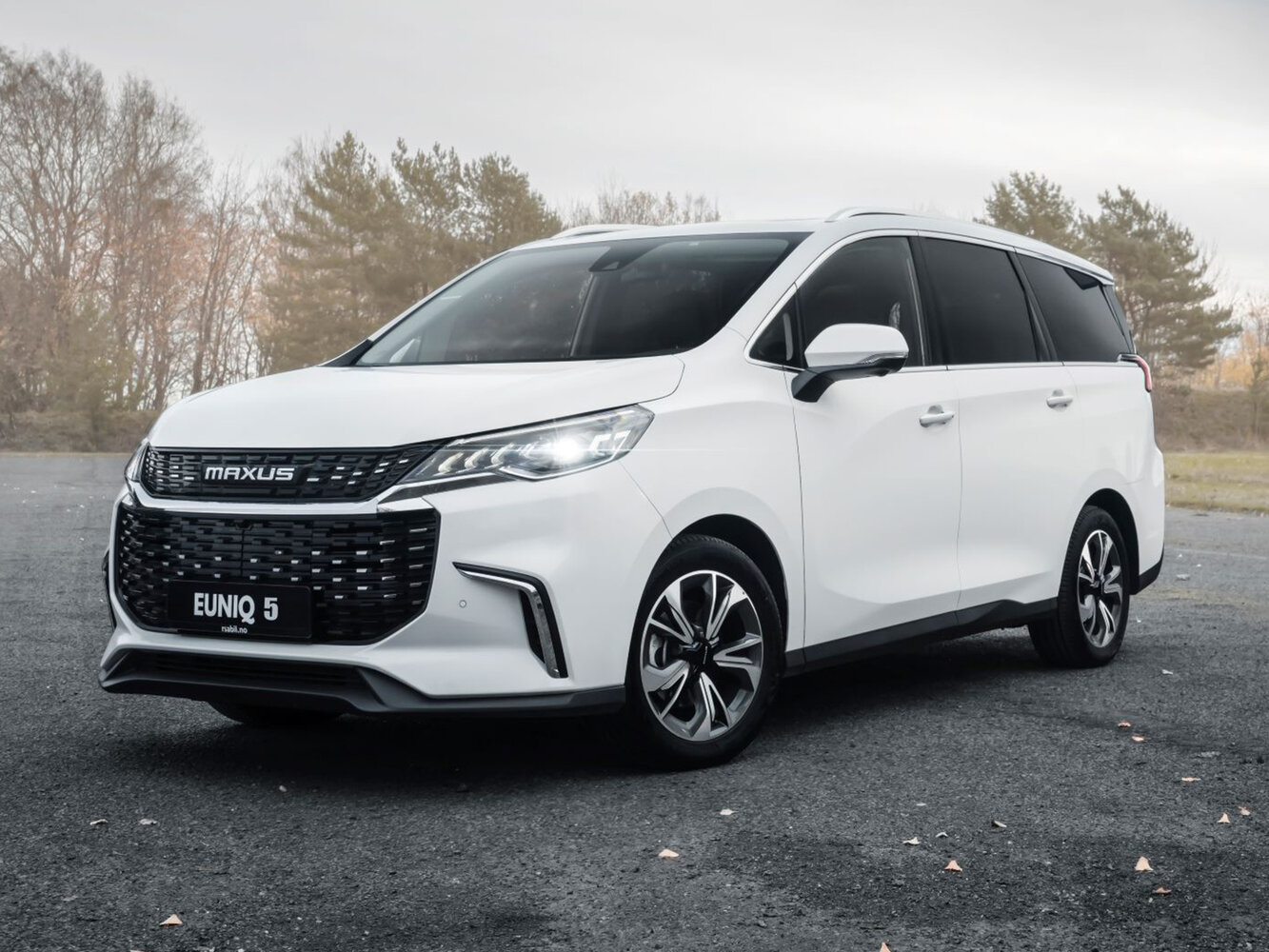 Maxus EUNIQ 5, 2019, фото 2