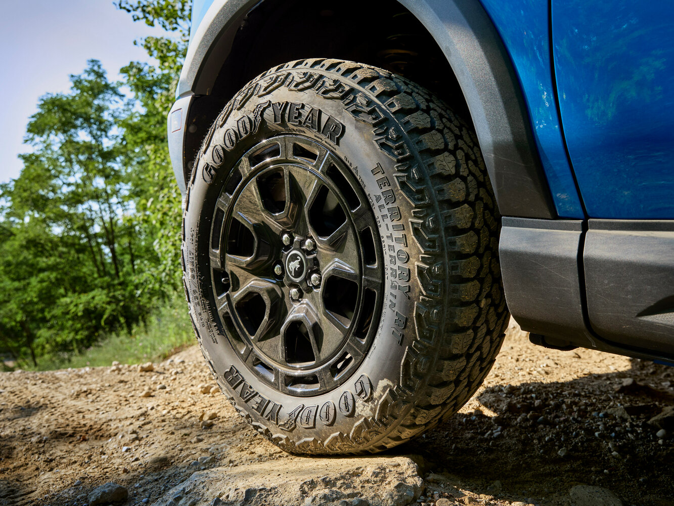 Ford Bronco Sport I Рестайлинг, 2024, фото 10