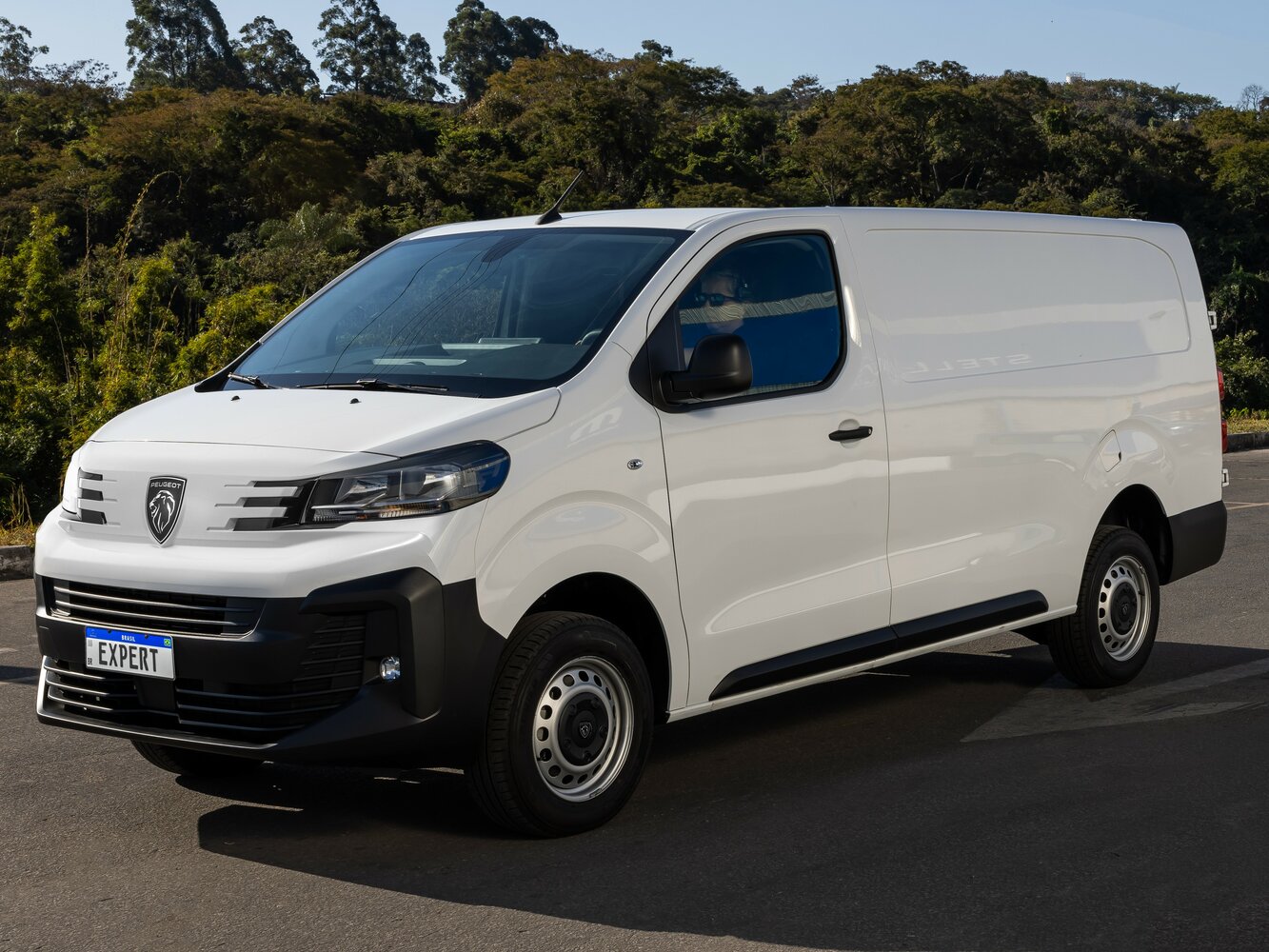 Peugeot Expert III Рестайлинг, 2024, фото 5