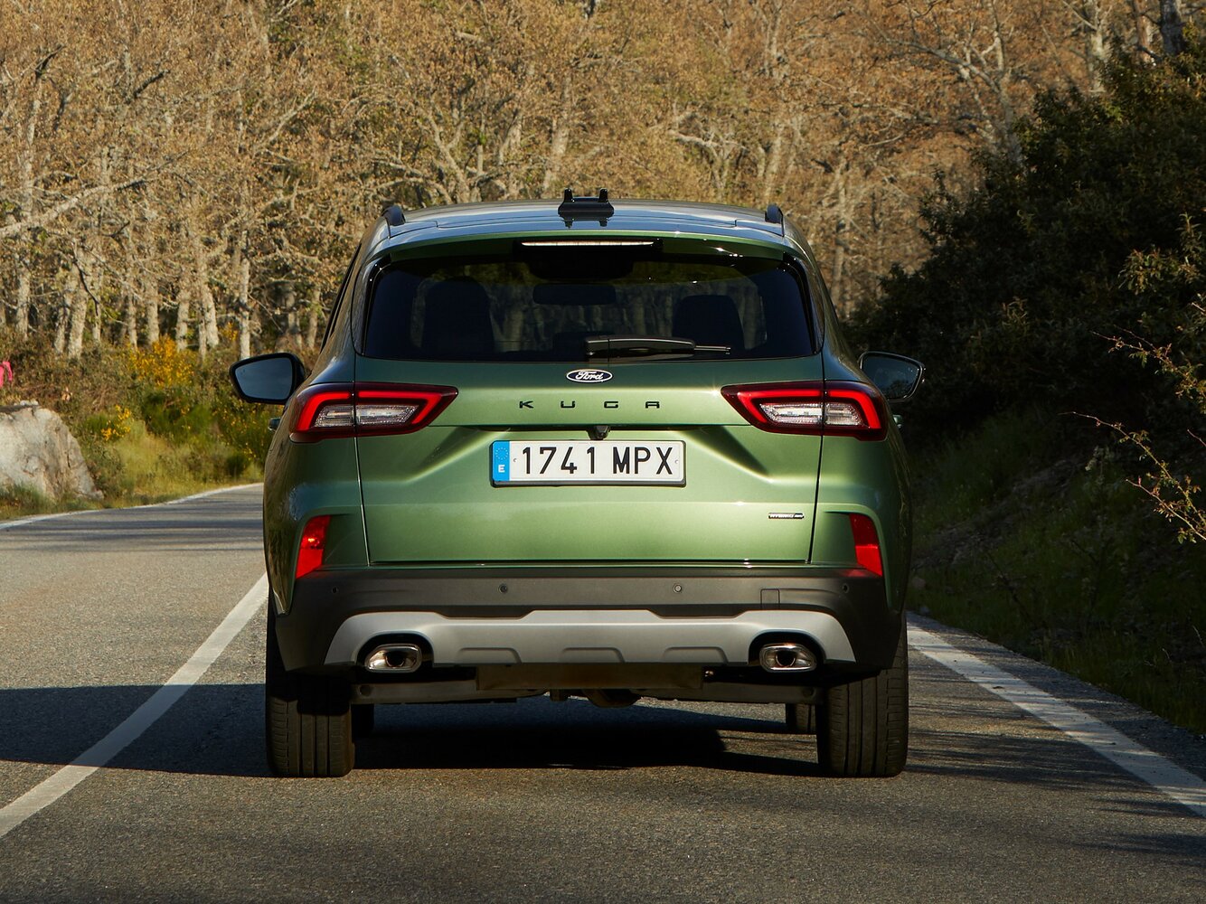 Ford Kuga III Рестайлинг, 2024, фото 2
