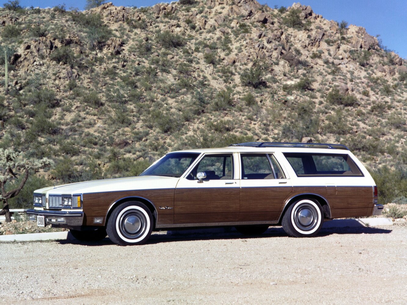 Oldsmobile Custom Cruiser II, 1984, фото 2