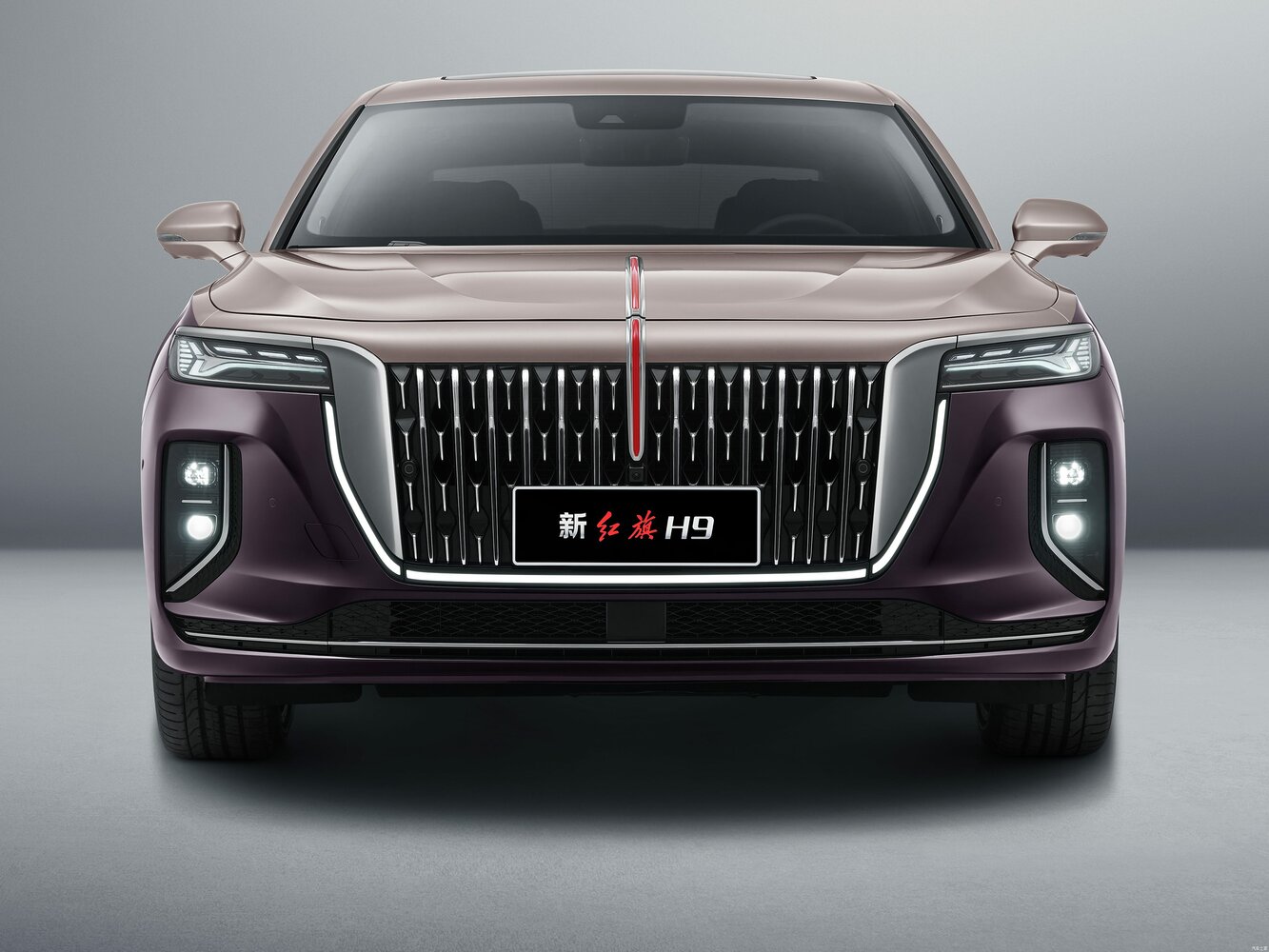Hongqi H9 I Рестайлинг, 2024, фото 2
