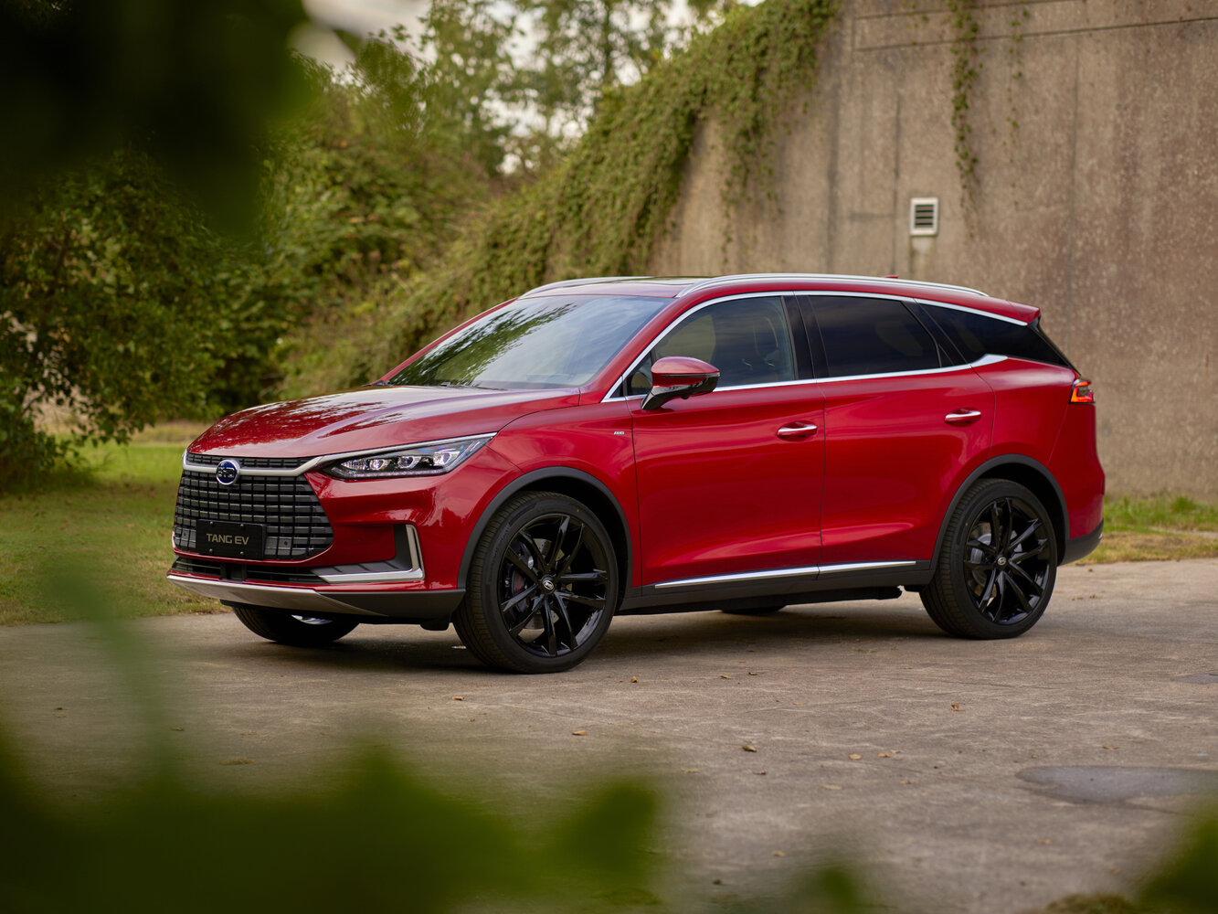BYD Tang II, 2018, фото 14