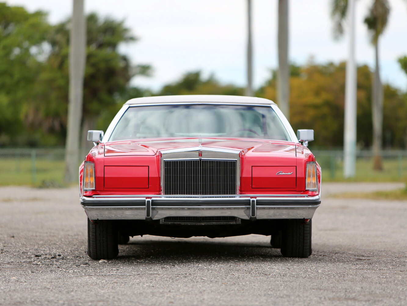Lincoln Continental Mark V, 1977, фото 10