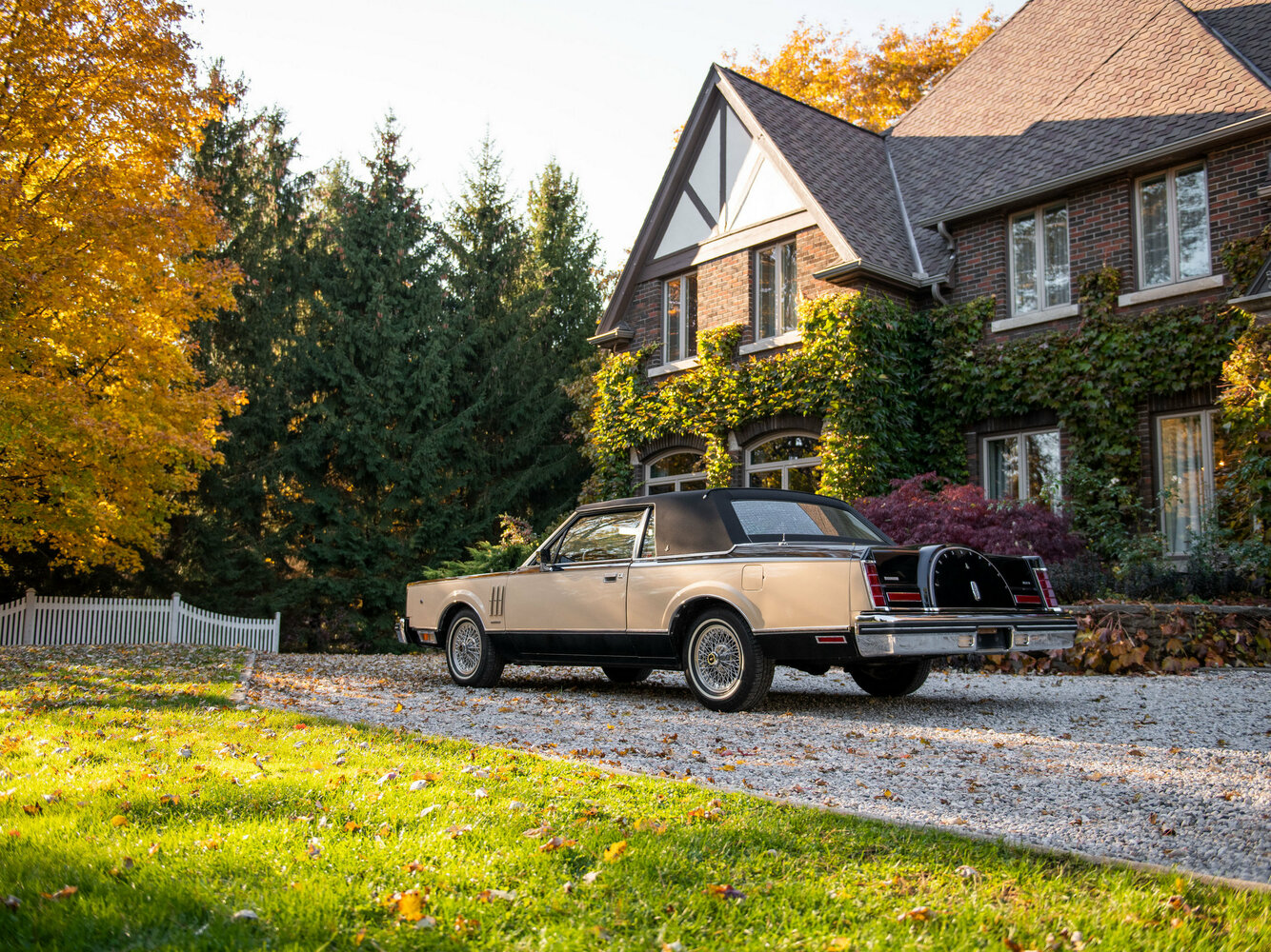 Lincoln Continental Mark VI, 1980, фото 8