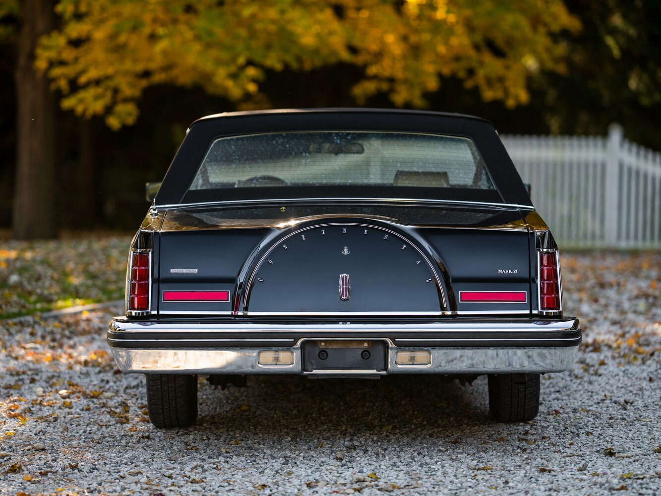 Lincoln Continental Mark VI, 1980, фото 3