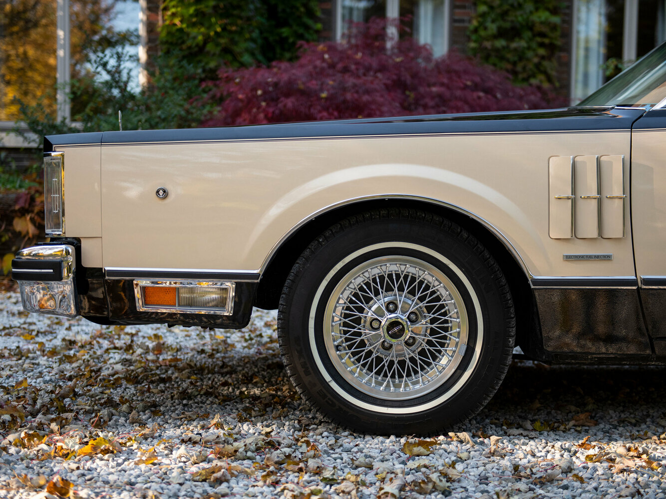 Lincoln Continental Mark VI, 1980, фото 6