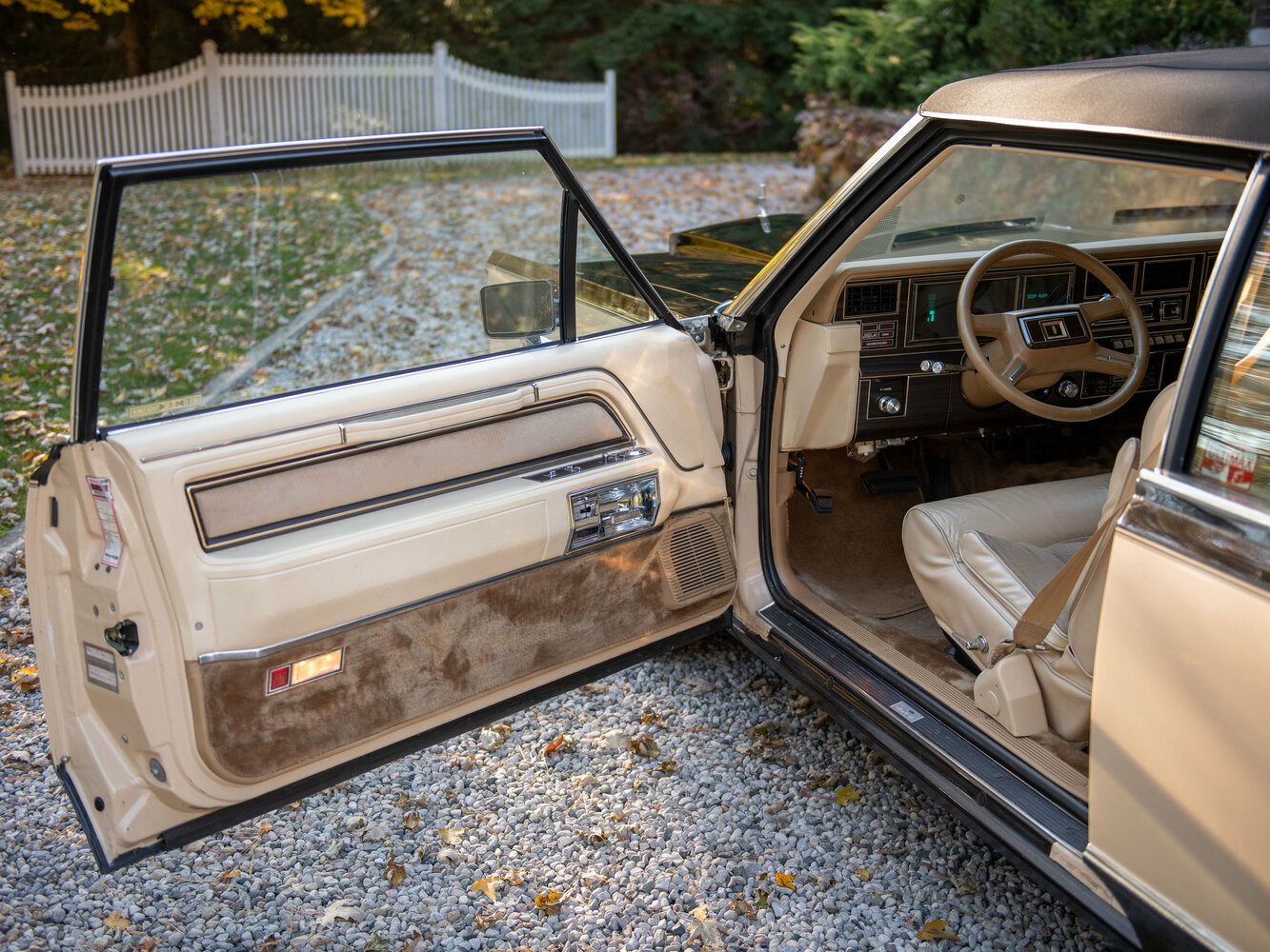 Lincoln Continental Mark VI, 1980, фото 2