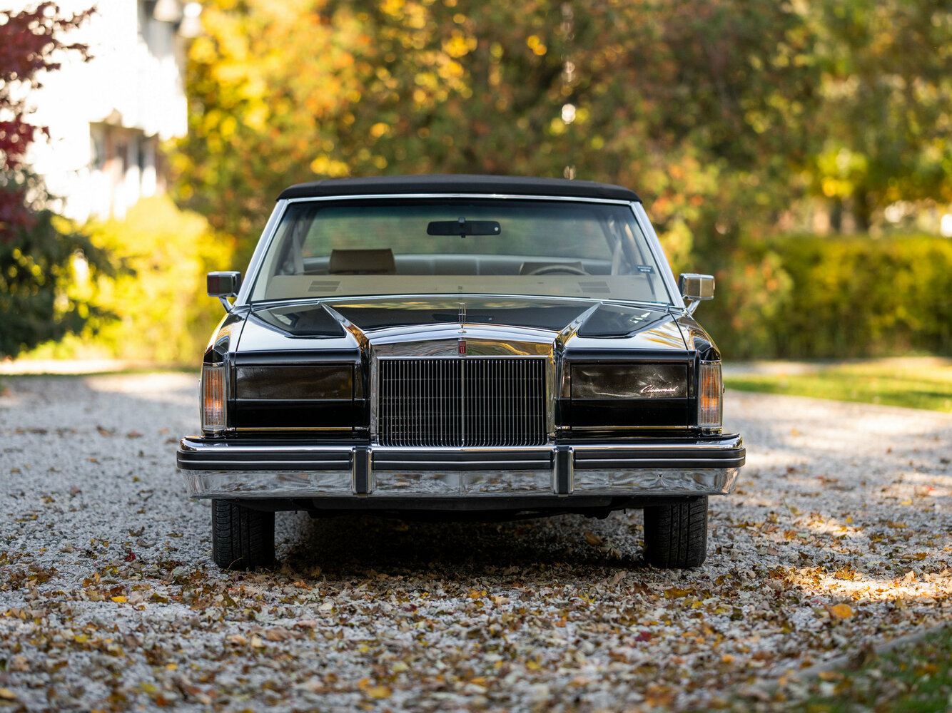 Lincoln Continental Mark VI, 1980, фото 13