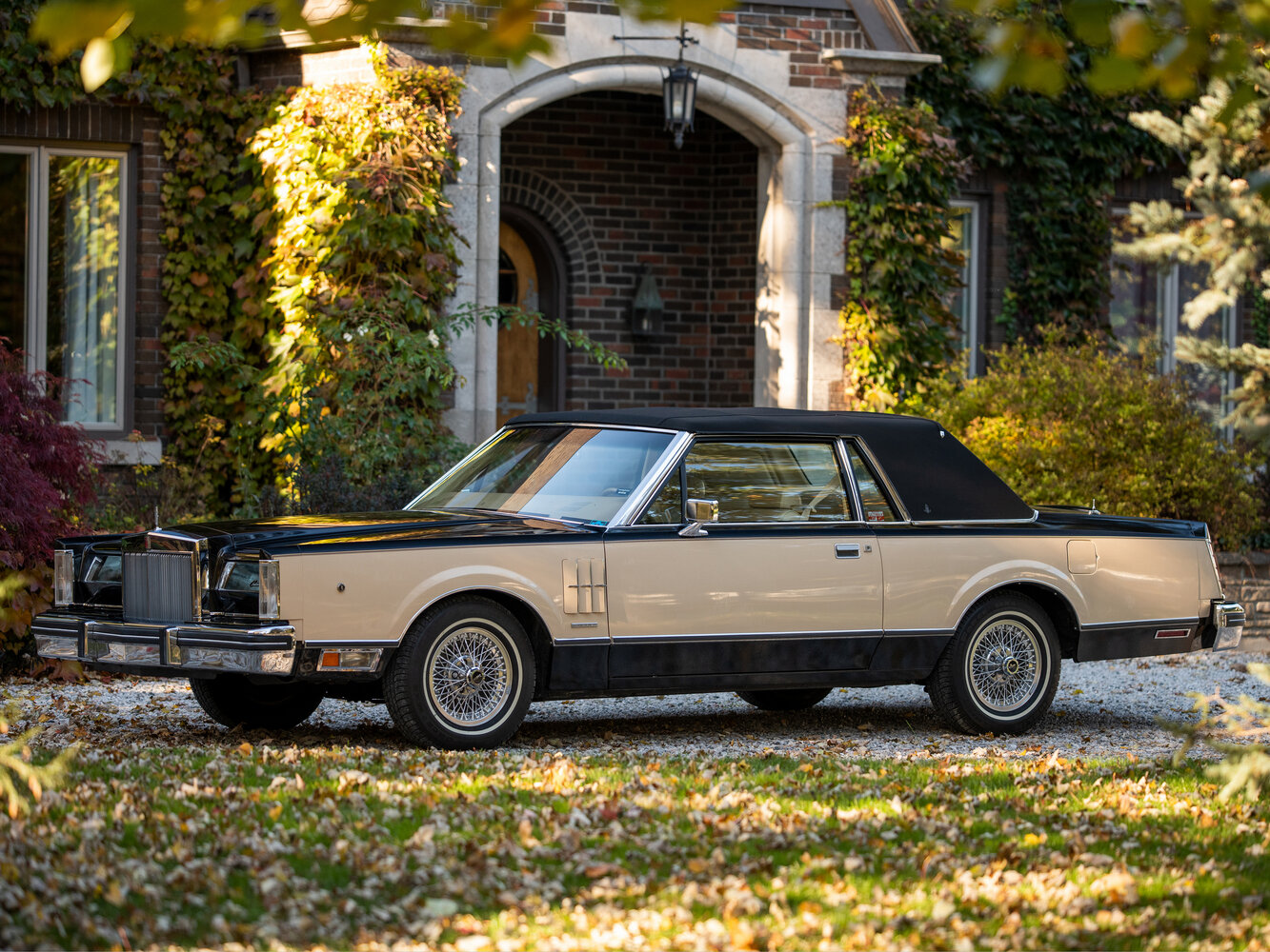 Lincoln Continental Mark VI, 1980, фото 12