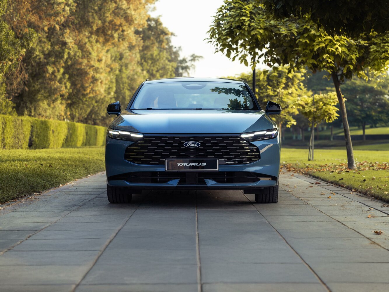 Ford Taurus VIII Рестайлинг, 2025, фото 9