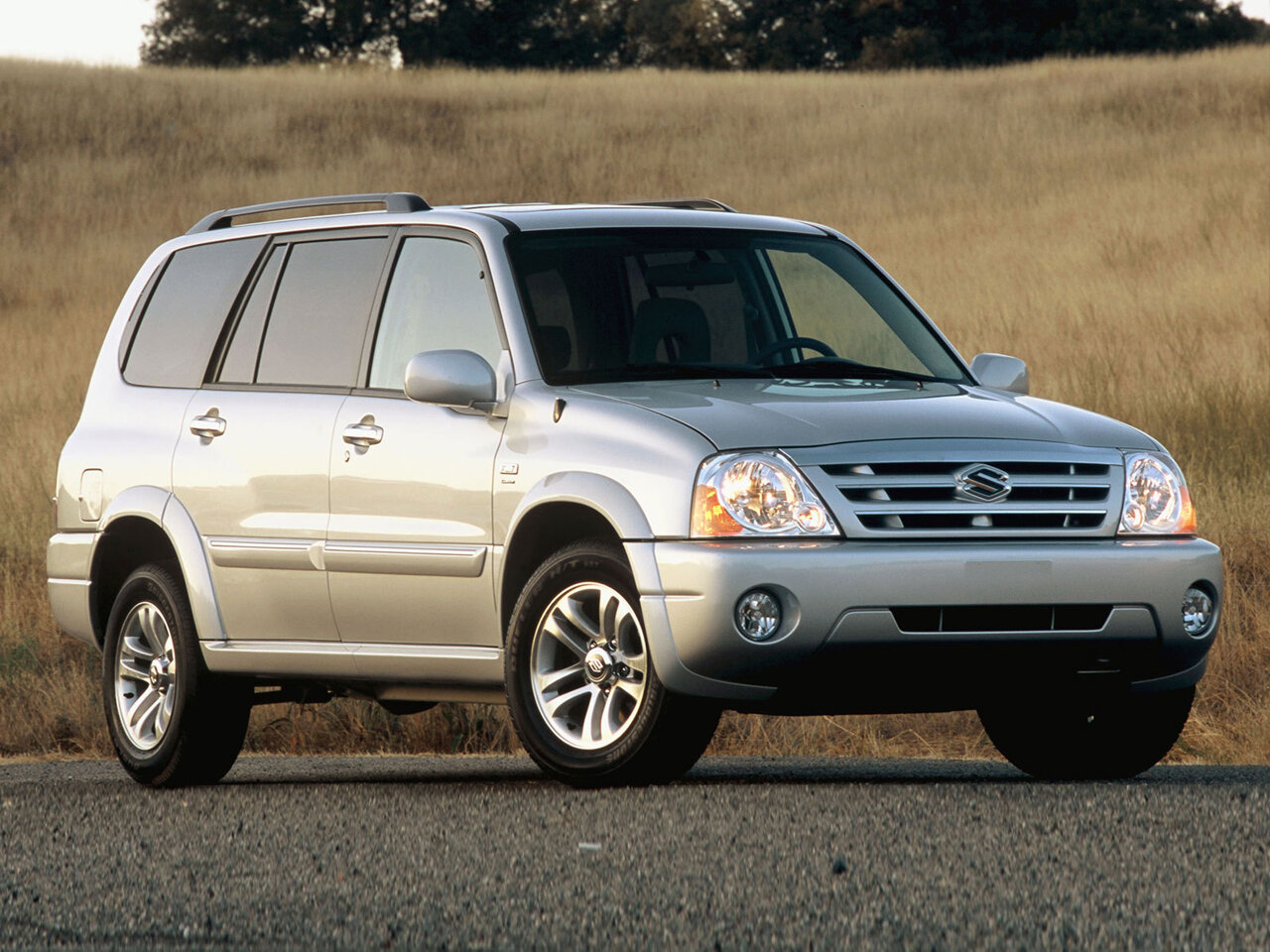 Suzuki XL7 I Рестайлинг, 2004, фото 2