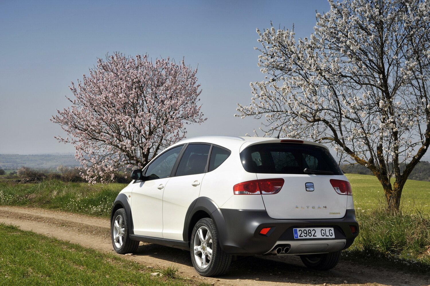 SEAT Altea I Рестайлинг, 2015, фото 10