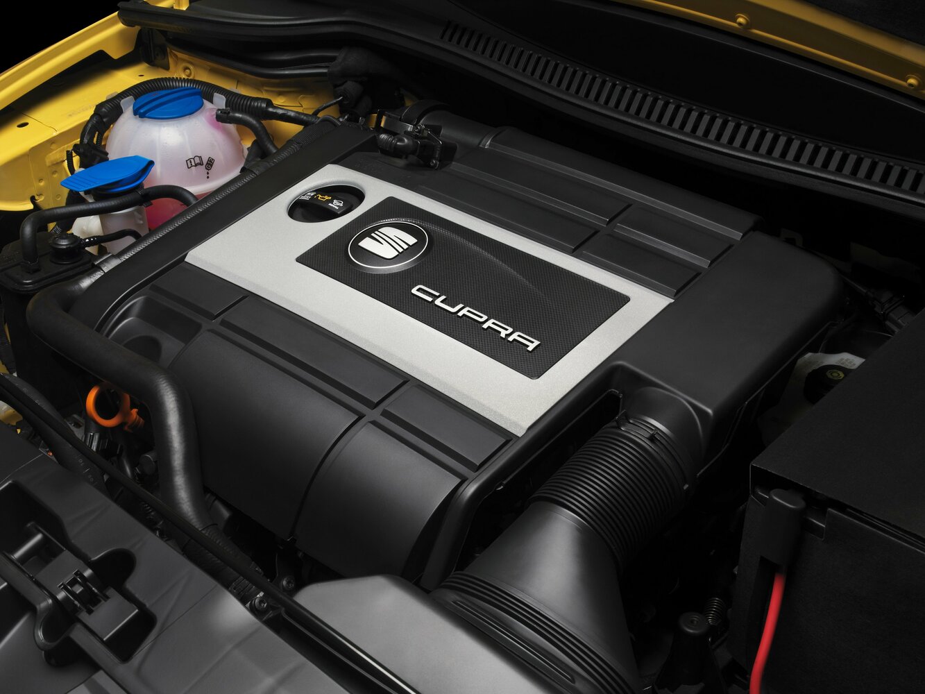 SEAT Leon Cupra II, 2009, фото 5