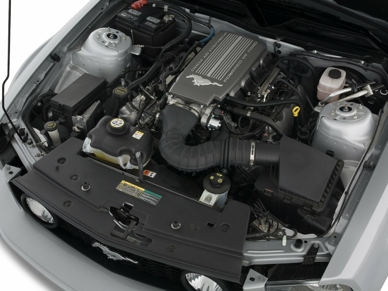 Ford Mustang V, 2009, фото 3