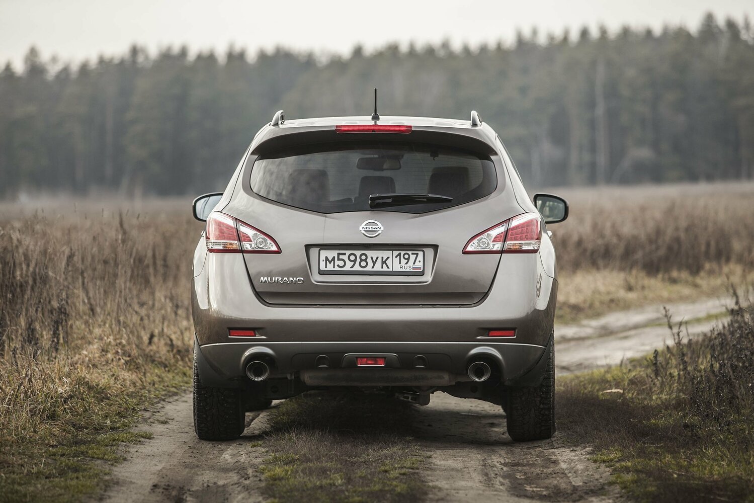 Nissan Murano II (Z51), 2008, фото 13