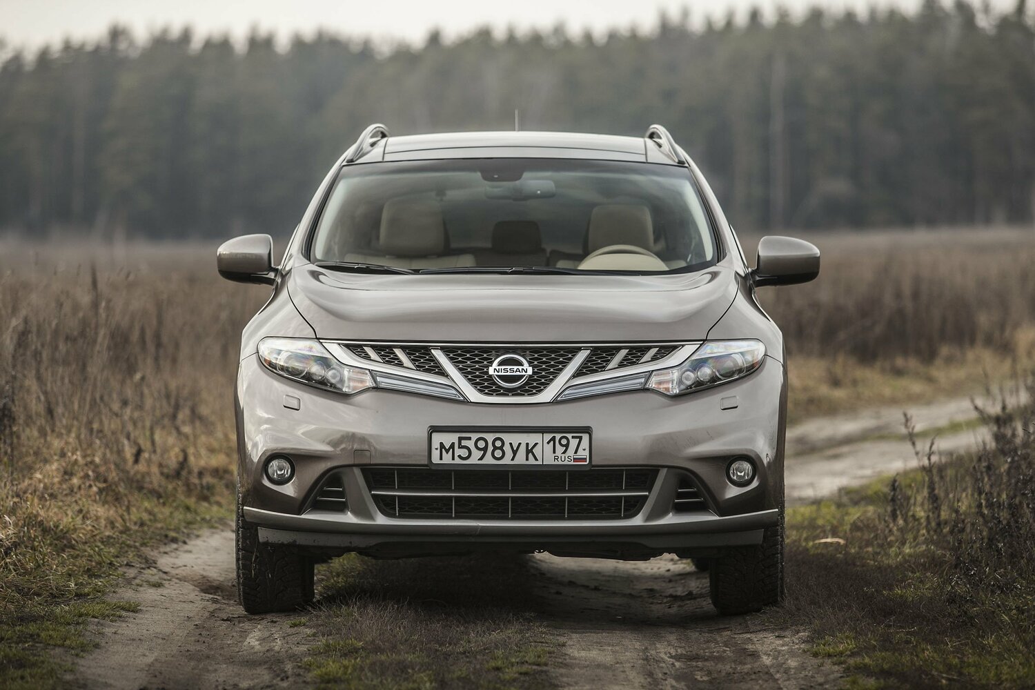 Nissan Murano II (Z51), 2008, фото 16