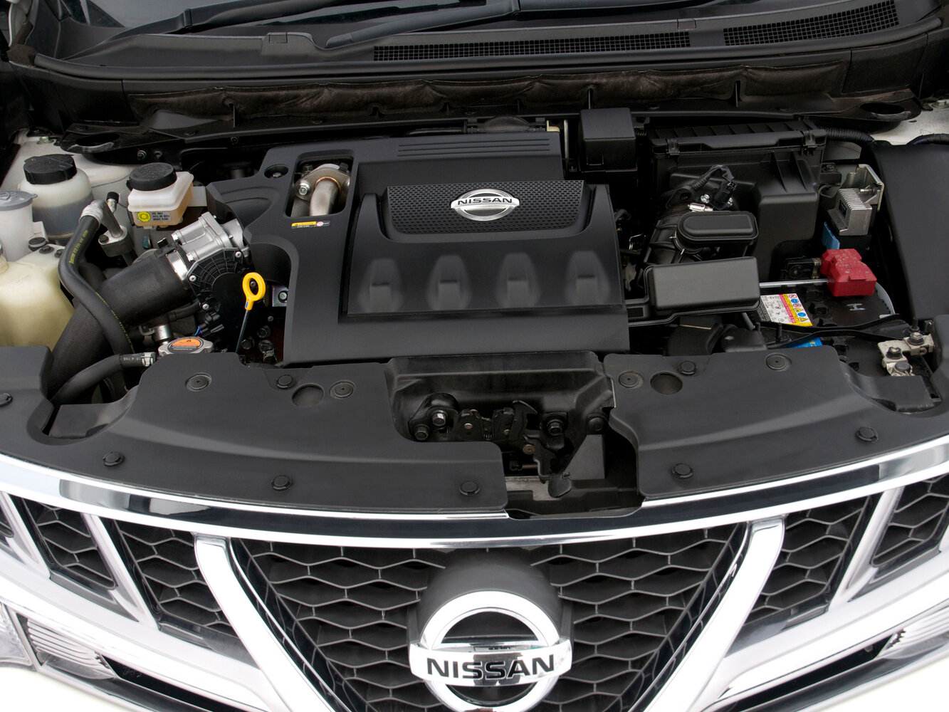 Nissan Murano II (Z51), 2008, фото 20