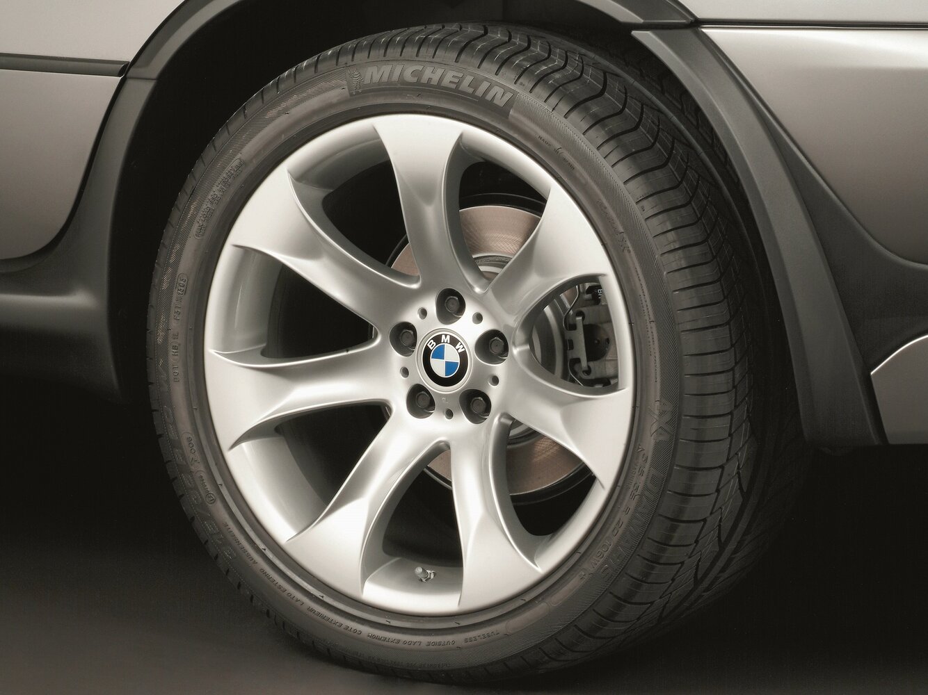 BMW X5 I (E53) Рестайлинг, 2004, фото 10