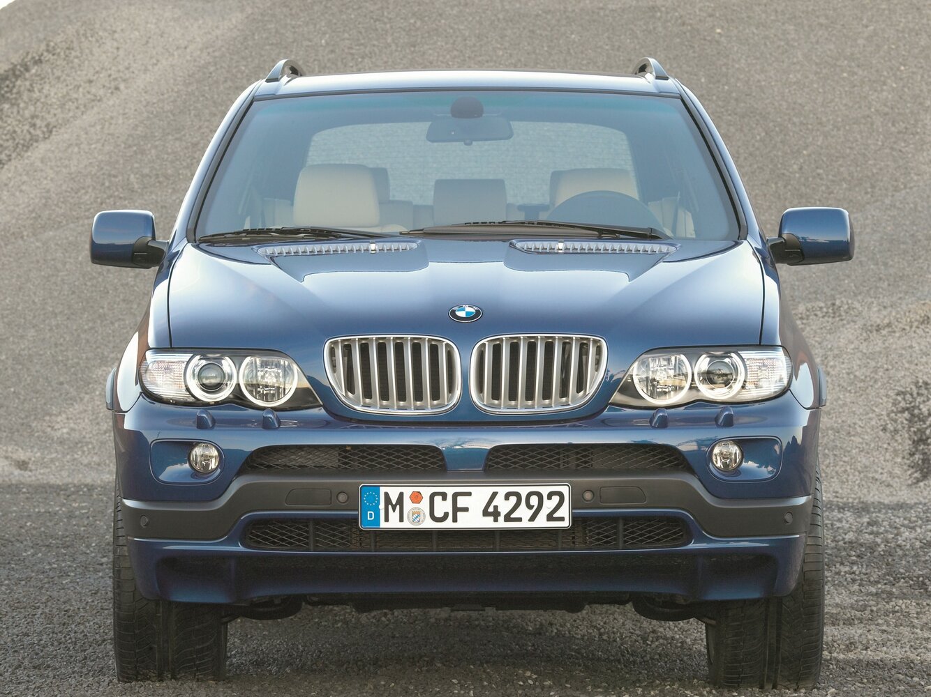 BMW X5 I (E53) Рестайлинг, 2004, фото 5
