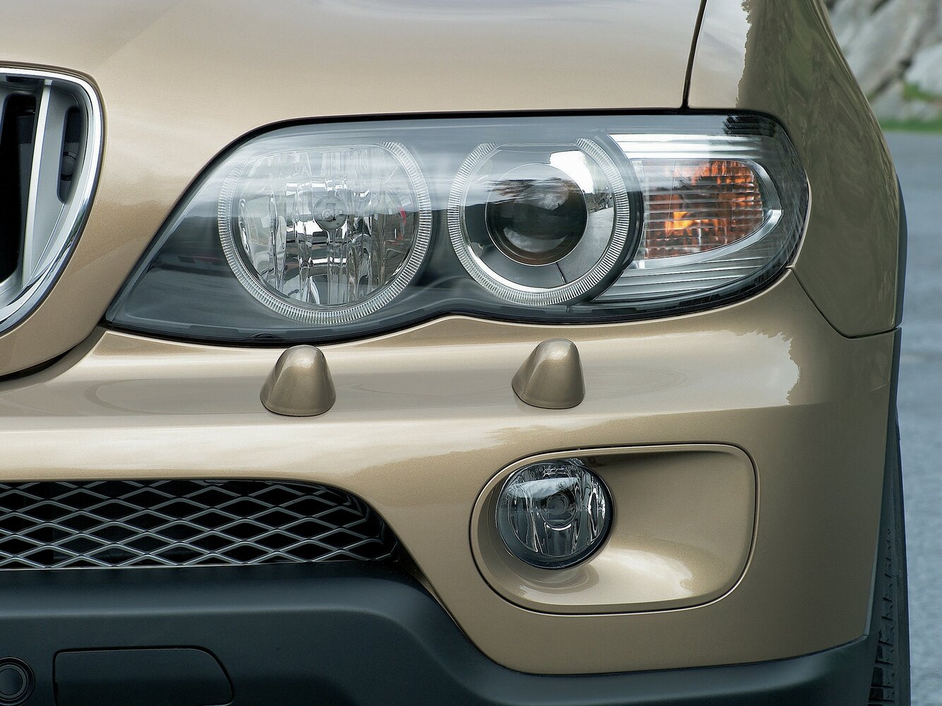 BMW X5 I (E53) Рестайлинг, 2004, фото 6